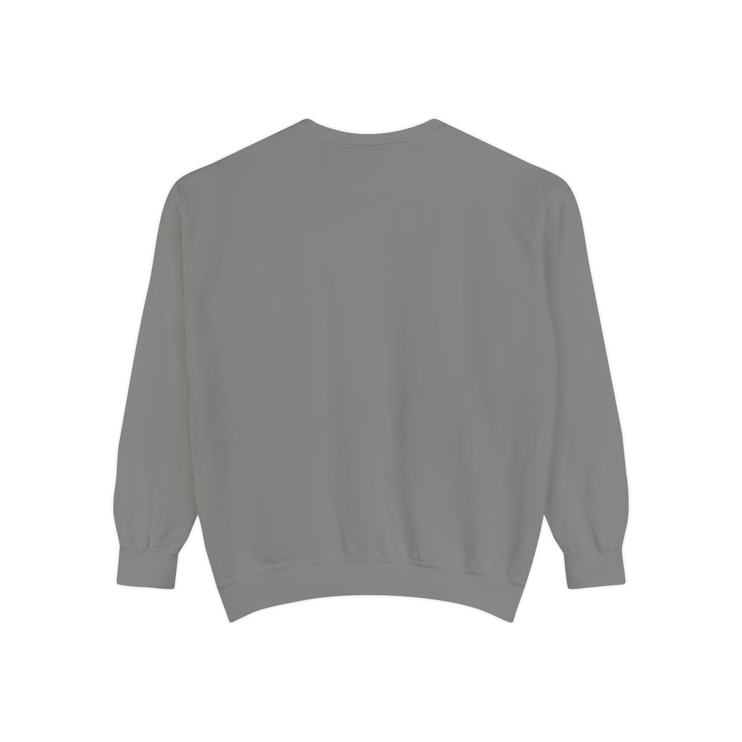"A Wild Human Appeared!" Retro Social Anxiety Battle Screen Sweatshirt