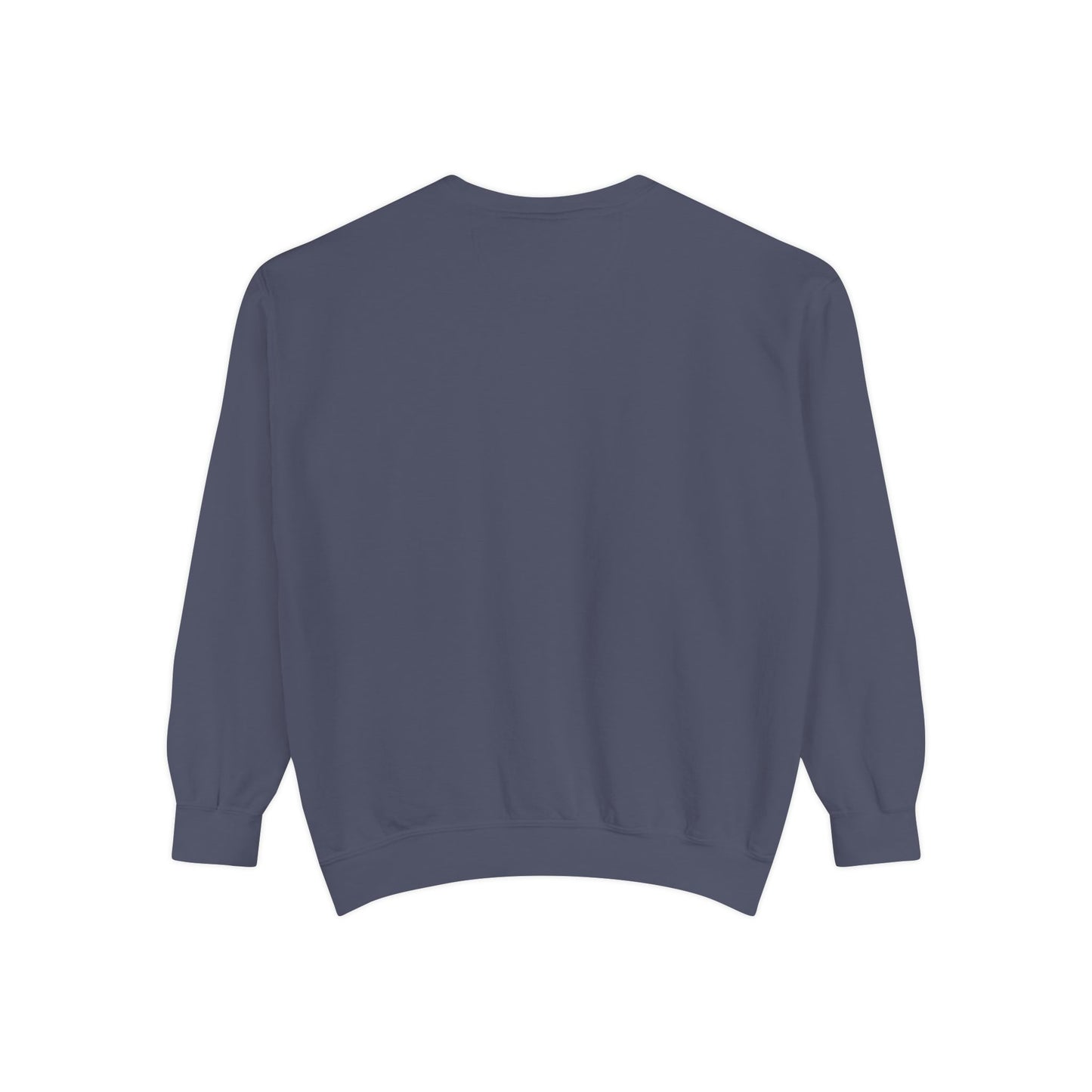"A Wild Human Appeared!" Retro Social Anxiety Battle Screen Sweatshirt