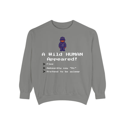 "A Wild Human Appeared!" Retro Social Anxiety Battle Screen Sweatshirt