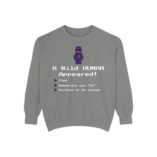 "A Wild Human Appeared!" Retro Social Anxiety Battle Screen Sweatshirt