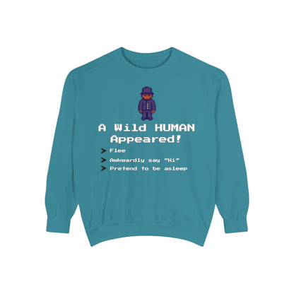 "A Wild Human Appeared!" Retro Social Anxiety Battle Screen Sweatshirt