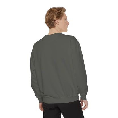 "A Wild Human Appeared!" Retro Social Anxiety Battle Screen Sweatshirt
