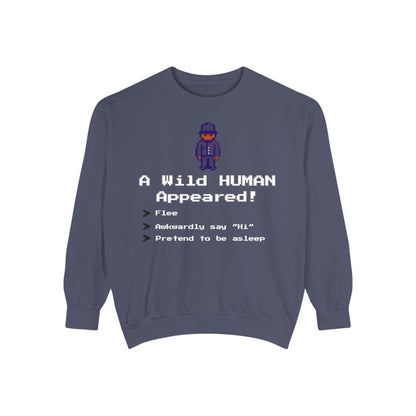 "A Wild Human Appeared!" Retro Social Anxiety Battle Screen Sweatshirt
