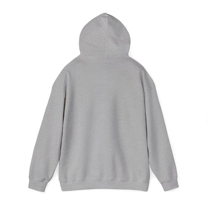 "A Wild Human Appeared!" Retro Social Anxiety Battle Screen Hoodie