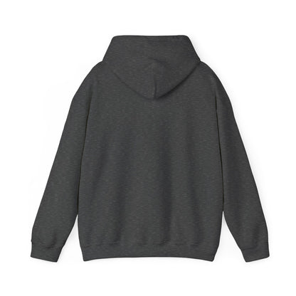 "A Wild Human Appeared!" Retro Social Anxiety Battle Screen Hoodie