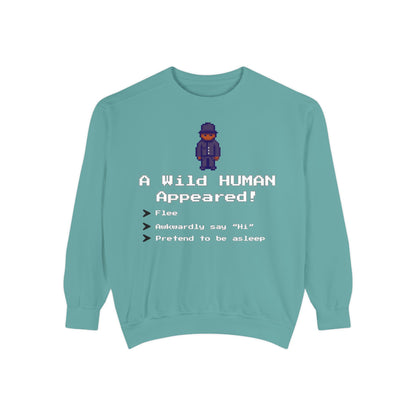 "A Wild Human Appeared!" Retro Social Anxiety Battle Screen Sweatshirt