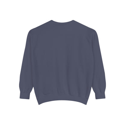 "A Wild Human Appeared!" Retro Social Anxiety Battle Screen Sweatshirt