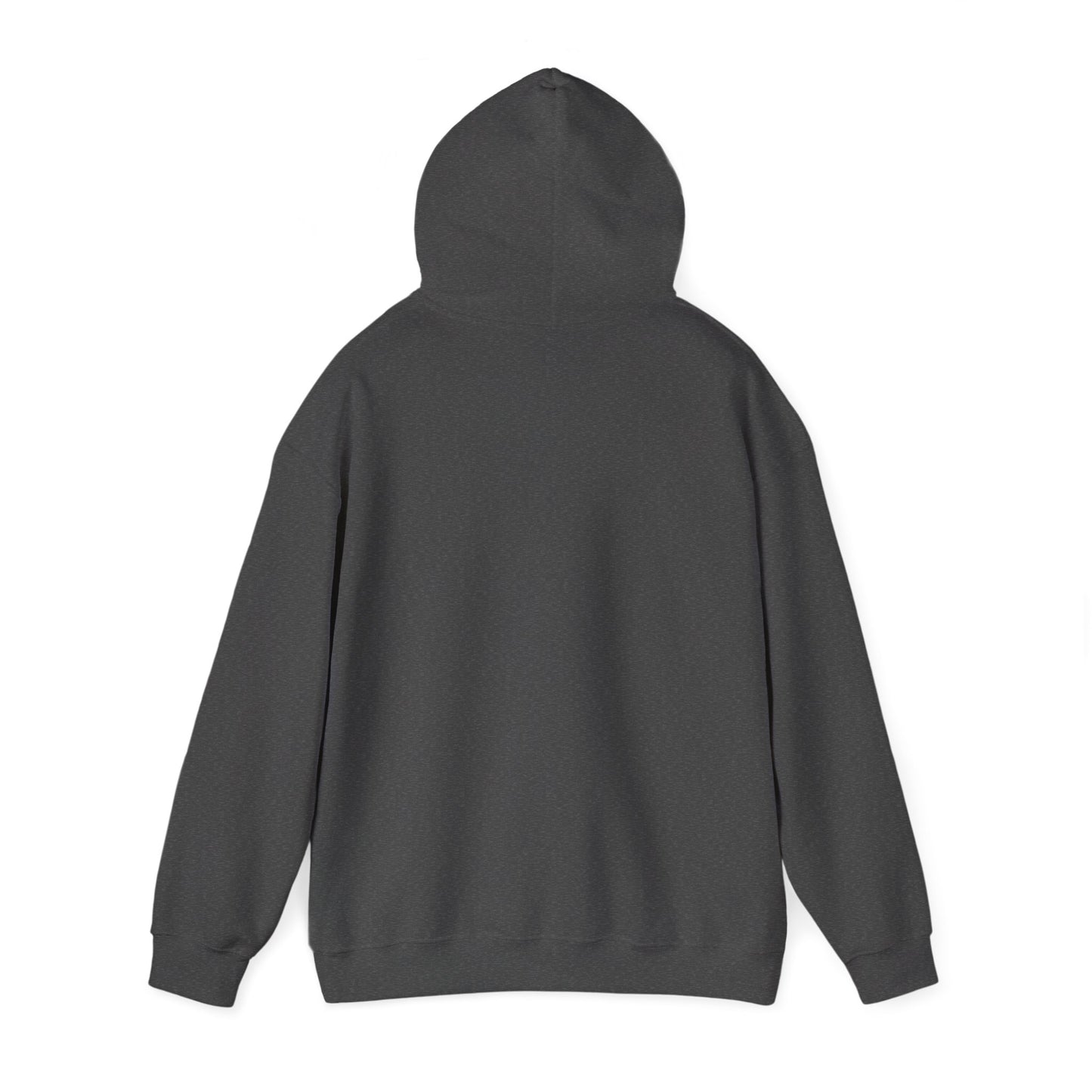 "A Wild Human Appeared!" Retro Social Anxiety Battle Screen Hoodie