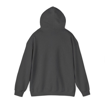 "A Wild Human Appeared!" Retro Social Anxiety Battle Screen Hoodie
