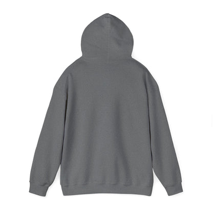 "A Wild Human Appeared!" Retro Social Anxiety Battle Screen Hoodie